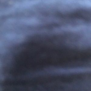 Meet your Posher, Tyreke